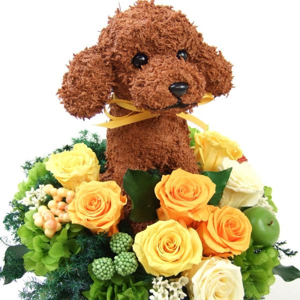 プリザーブドフラワー犬 トイプードル Cute 結婚祝い 誕生日 ギフト プレゼント 開店祝い 動物病院開院祝い ペットのお悔やみ Buyee Buyee Japanese Proxy Service Buy From Japan Bot Online