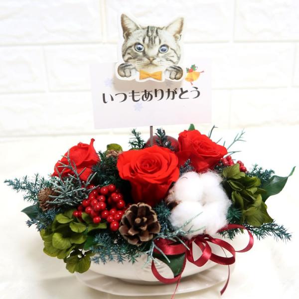 数量限定 期間限定 メッセージ猫ちゃん プリザーブドフラワーアレンジ 割引も実施中
