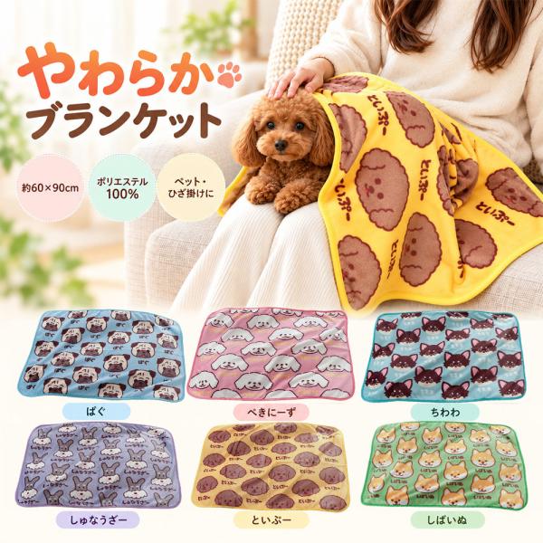 犬柄 なめらか ブランケット 60×90cm ペット用 ひざ掛け 子供用 ミニブランケット シュナウザー ペキニーズ チワワ パグ トイプードル 柴犬 ポイント利用