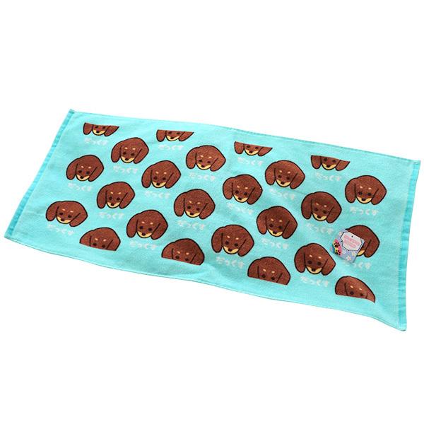 tFCX^I  [h 킢 ^I 100% ۈ牀 ct  j Vw  |Cgp