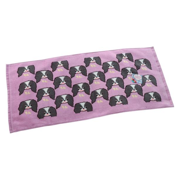 tFCX^I  [h 킢 ^I 100% ` CXg ۈ牀 ct  j Vw  |Cgp