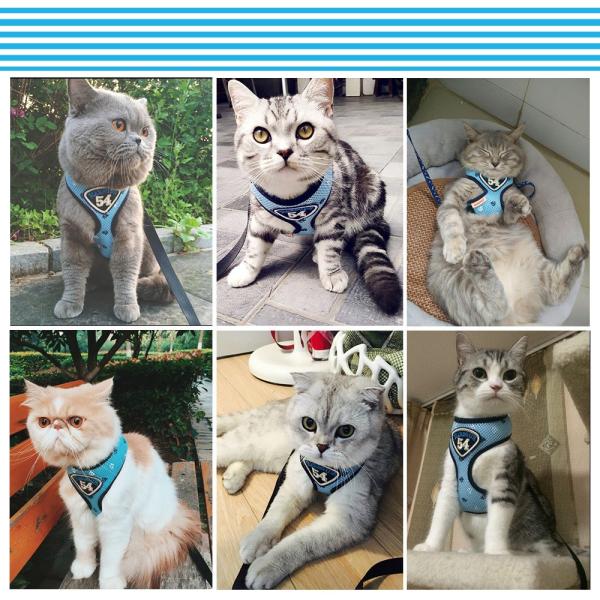 猫ハーネスリードセット お散歩 可愛い おしゃれ 服 簡単脱着 ウォーキング ねこ Buyee Buyee Japanese Proxy Service Buy From Japan Bot Online