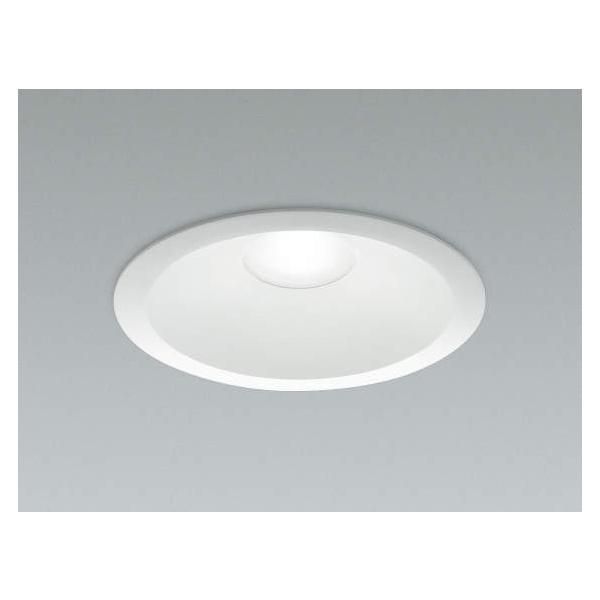 RCY~Ɩ LEDhJh_ECg O hJ   J[|[g 5000KF