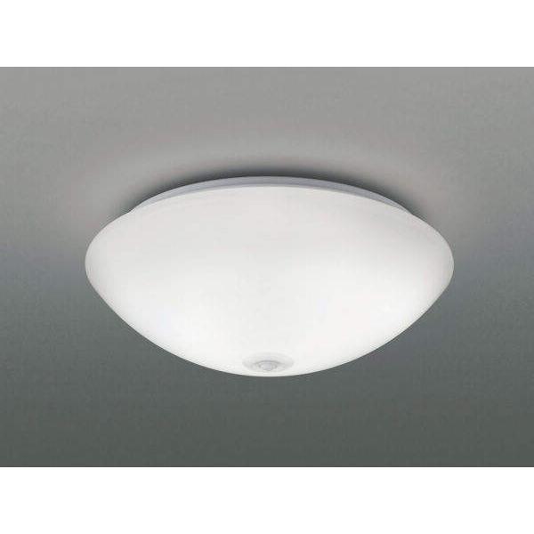 RCY~Ɩ LED^V[OCg lZT[t 5000KF