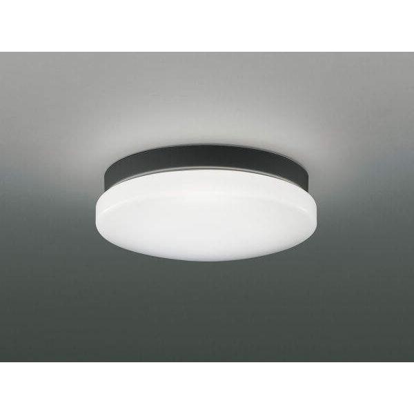 RCY~Ɩ LEDhJh^V[OCg O 5000KF