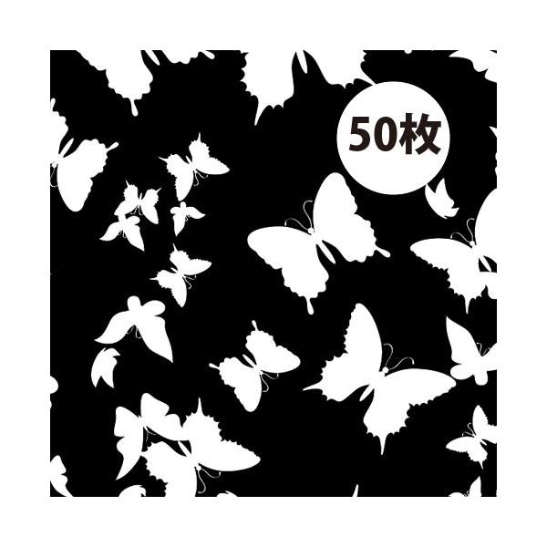 uo^tC 50v  bsOy[p[ NX}X o^C B2TCY mg[ mN   ݎ