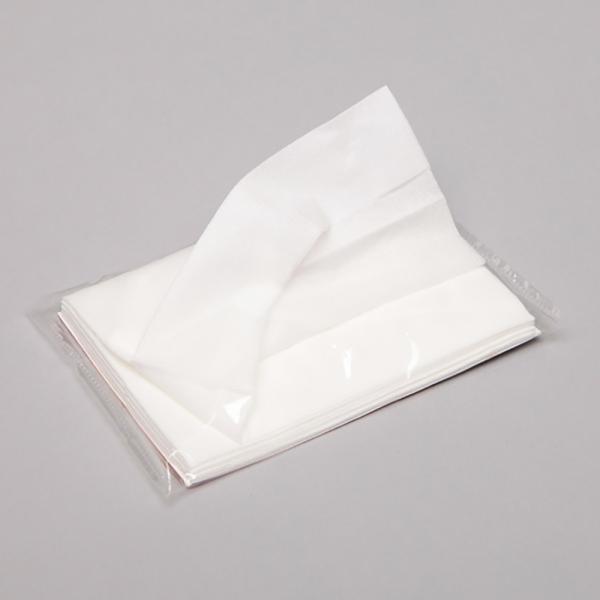 ポケットティッシュ 水解性 水に溶ける ポケット 付き 8枚入り