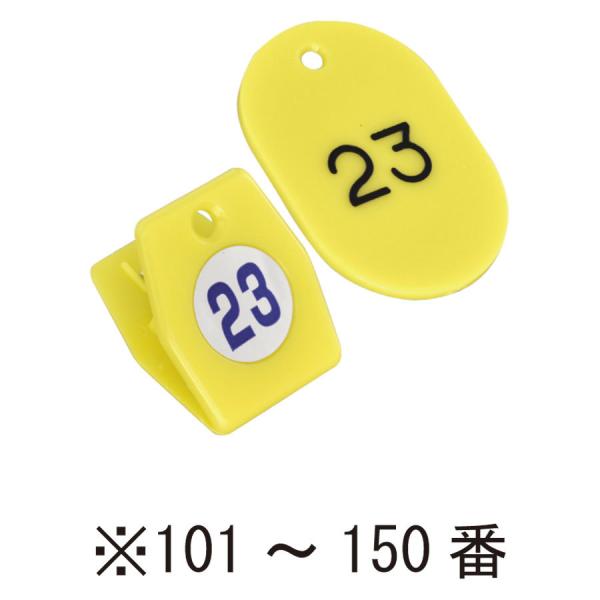 N[ND@101`150ԁ@CG[@56800YLW X`[N[N`PbgA^