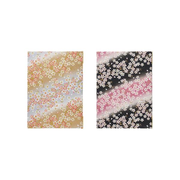 aj[ubN@B5E4y[W s^Cv JPB-202 aTN(OJo[t) (Aim)