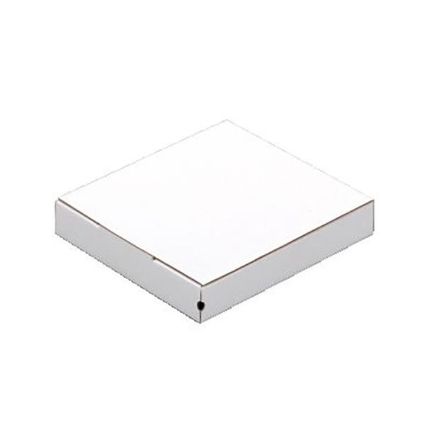 sUA蔠 n 262×262×38mm 100  sUpCzCg10C` eCNAEg Ɩp Ղ ĝĐHie