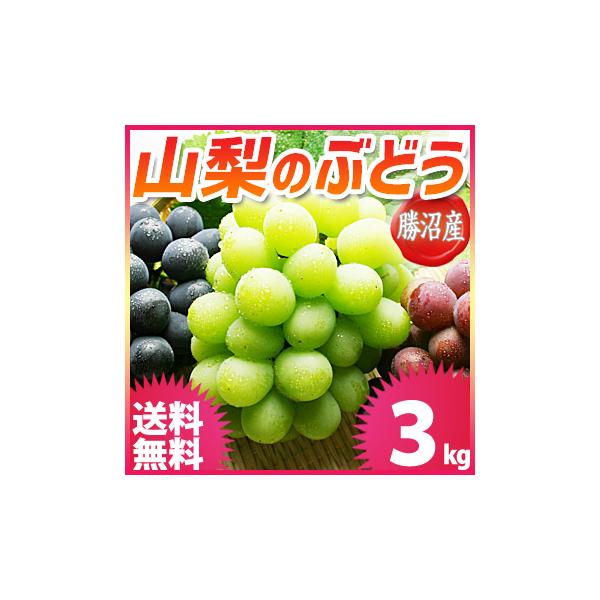 山梨県勝沼産の高級ぶどう 3色3種類以上入った欲ばりセット 約