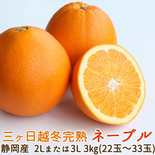 Tomo　家庭用紅ぷり8kg+葉付き完熟ネーブル8kgぐるりん 三ヶ日越冬完熟ネーブル」静岡県産 2Lまたは3Lサイズ 22玉〜33玉 3kg
