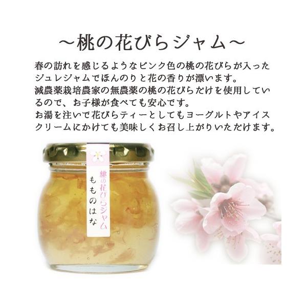 無添加ジュレジャム 桃の花ジュレジャム 110g防腐剤 着色料を使っていない身体にやさしい手作りジュレジャム Gelejam Momohana あったあった 通販 Yahoo ショッピング