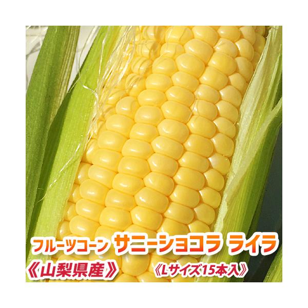 ≪商品情報≫【商品名】フルーツコーンサニーショコラ ライラ　（とうもろこし）【商品内容】皮付きフルーツコーンサニーショコラ ライラ(山梨県産)Lサイズ　15本入り　《お買い得品》　【出荷目安】6月中旬頃より順次発送いたします。※収穫に合わせ...
