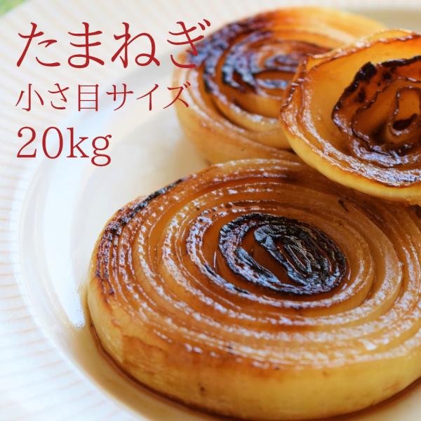 玉ねぎ 20kg 送料無料 小さいサイズ混合 新潟 阿賀野産 新たま