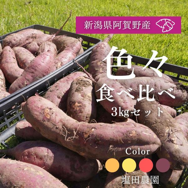 安納芋・シルクスイートなど 人気品種 さつまいも 食べ比べセット 焼き芋におすすめ ねっとり しっとり！【ハロウィンスイート・ふくむらさきも】紅はるかにも負けない甘さ 3kg・原材料名：サツマイモ・品種名：安納芋・シルクスイート・ひめあやか...