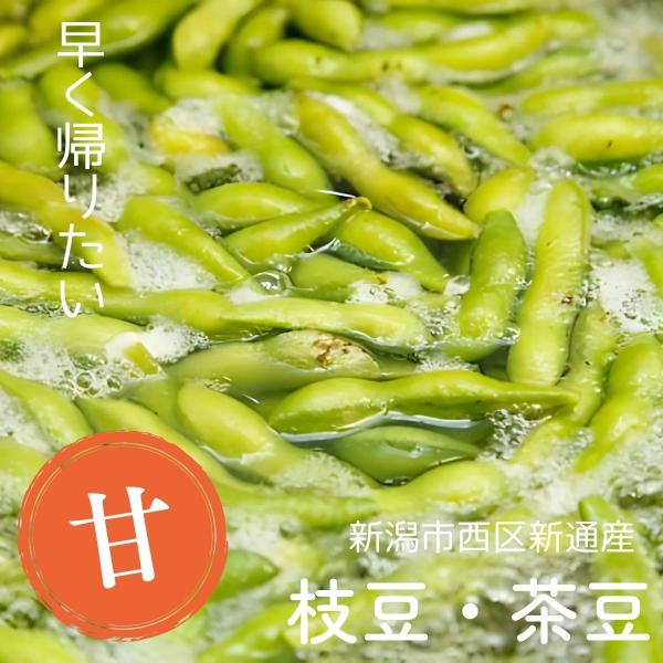 枝豆 新潟市西区新通産 1.5kg 新潟産 朝採り直送 新鮮 黒埼エリア 家族向け 枝豆好き おつまみ