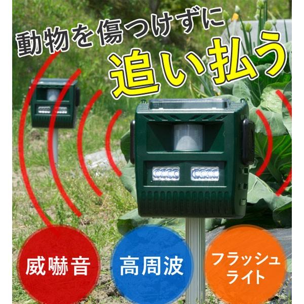 動物撃退器 超音波 猫よけ ハクビシン ソーラー式 害獣対策 防水 音 害獣 撃退 駆除 防滴 センサー イノシシ ネズミ カラス 犬 農家 畑 庭 Buyee Buyee 日本の通販商品 オークションの代理入札 代理購入