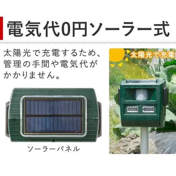 動物撃退器 超音波 猫よけ ハクビシン ソーラー式 害獣対策 防水 音 害獣 撃退 駆除 防滴 センサー イノシシ ネズミ カラス 犬 農家 畑 庭 Buyee Buyee 日本の通販商品 オークションの代理入札 代理購入