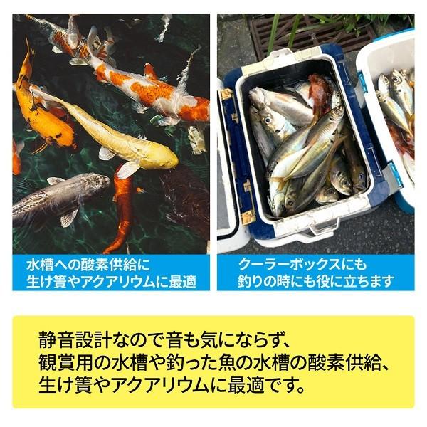 エアーポンプ 水槽 釣り 充電式 小型 静か アクアリウム 防水 クーラーボックス 一体型 酸素ポンプ 金魚 静か ソーラー充電 低騒音 夜釣り 生け簀 Dejapan Bid And Buy Japan With 0 Commission