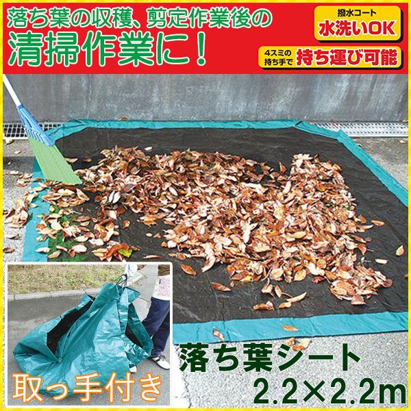 tV[g ͗t t K[fobO  W | K[foPc ^ ͗t ֗  S~ S~  e Lk ܂肽 K[fjO EGB-21