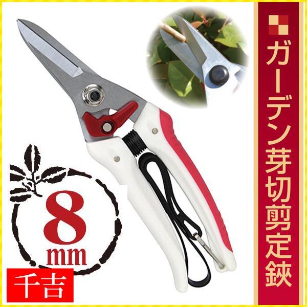 ΂ y ؂ g oT~ ؂͂ A  ~  } K[fjO }؂ nT~   ^  