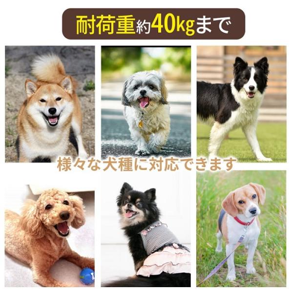 リード 犬 伸縮 8m 頑丈 自動 巻き取り 犬用リード ペットリード イヌ 散歩 ドッグリード リールリード 犬用 小型犬 中型犬 大型犬 犬リード Buyee 日本代购平台 产品购物网站大全 Buyee一站式代购 Bot Online