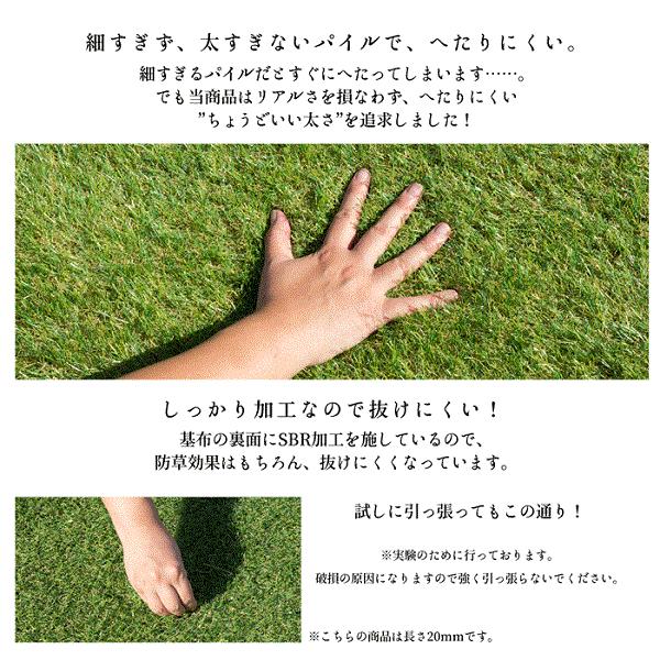 人工芝 Diy ロール マット 1m 10m 芝生 春色 夏色 毛足mm U字ピン 水はけ ピン リアル 庭 ベランダ リアル人工芝 芝生マット Buyee Buyee Japanese Proxy Service Buy From Japan Bot Online