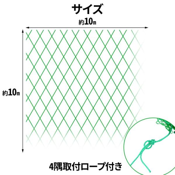 attention8-25_at-132425_5_d_20250627112710