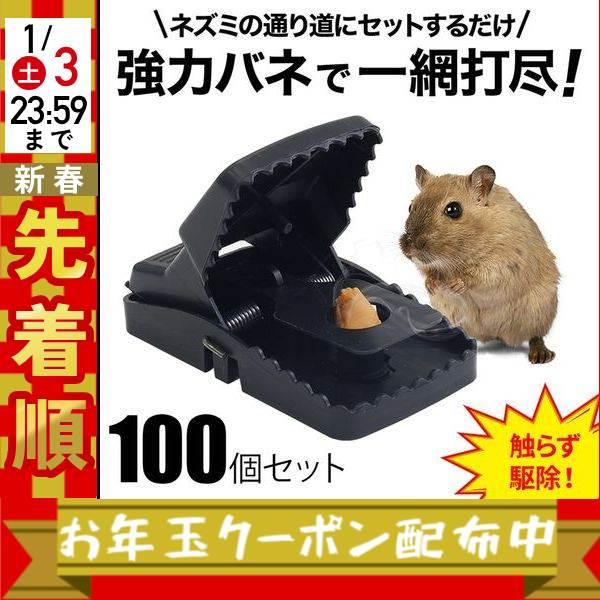 ねずみʢ•·̫•ʡ 楽天市場】ねずみ駆除 ネズミ捕り 6個セット ねずみ取り器