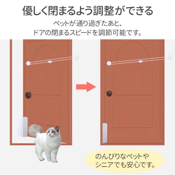 attention8-25_at-137828_3_d_20230726155335