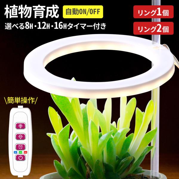 植物育成ライト　リング型◆エンジェルライト欧米ではエンジェルライトangel light と呼ばれ大人気！直径9cmの「天使の輪」を小さな鉢に一つ挿せば屋内でも元気に育ちます。◆タイマー付き自動で電源ON/OFF 24時間サイクルタイマー8...