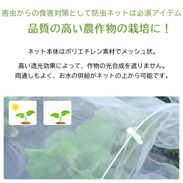 attention8-25_at-140915_2_d_20260113163704