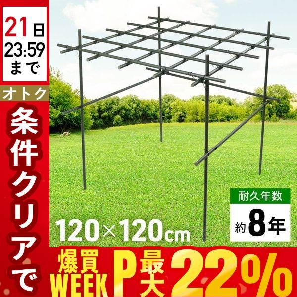 パーゴラ フルーツパーゴラ 幅120cm ガーデンパーゴラ ガーデンアーチ 藤棚 果樹棚 ガーデンファニチャー 資材 屋根 果物棚 キウイ棚 ぶどう棚