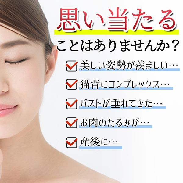 �L�w�����x���g �p������ �w�؋��� �o�X�g�A�b�v �p���T�|�[�^�[ ���� ����  ���b�� �w�� �e�����[�N �������� ���i�摜1