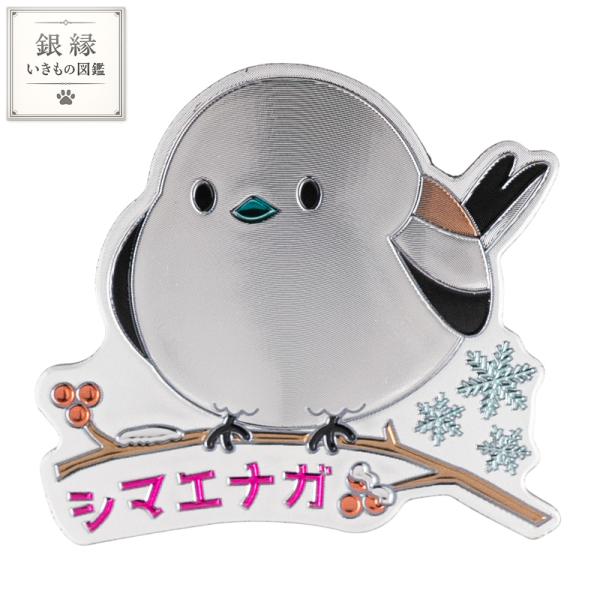 銀縁いきもの図鑑 シマエナガ マグネット 雪の妖精 北海道 野鳥 鳥 動物 かわいい ギフト メール便サイズ1