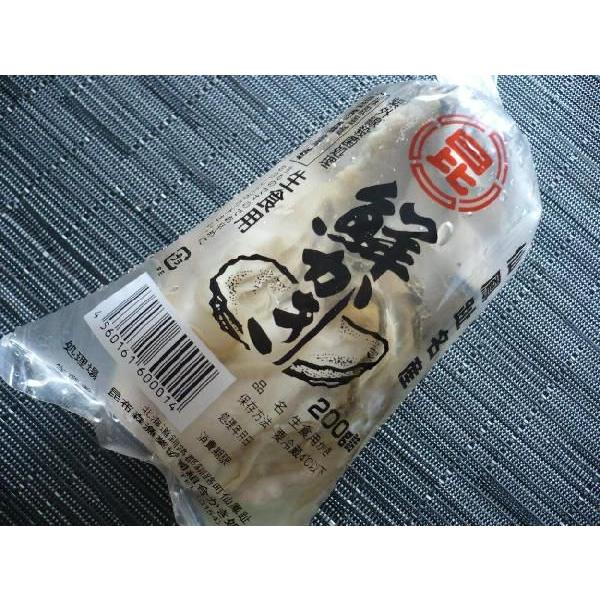 kCEy   Eݐ݁@P a g500@ނg y y |y