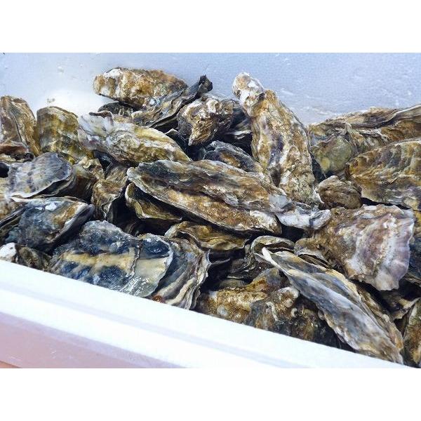 kC y 󂠂色y@HpSL 󂠂 nlm ݐ݁@P Hו