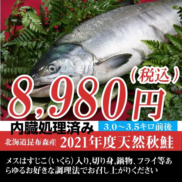 訳あり(特選)北海道(鮭)生 秋鮭 メス 生筋子 3.0キロ~3.5キロ 内臓処理 :sake-tokusen01:アツマル水産 - 通販 - Yahoo!ショッピング 訳あり(特選)北海道(鮭)生 秋鮭 メス 生筋子 3.0キロ~3.5キロ 内臓処理 :sake-tokusen01:アツマル水産 - 通販 - Yahoo!ショッピング