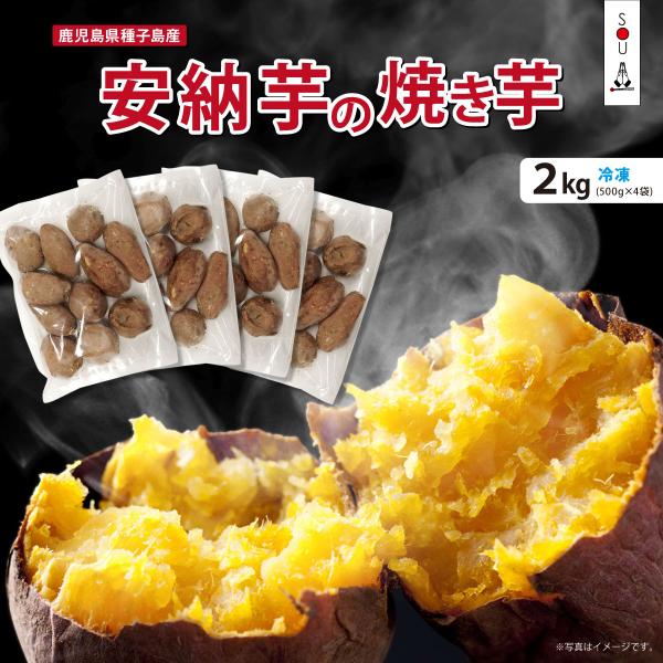 【鹿児島県種子島産　安納芋の焼き芋(冷凍)】言わずと知れたキングオブ焼き芋の安納芋。生産地は鹿児島県種子島の安納地区で生産された原料を使用しています。●サイズについて●お子様やご高齢の方々も食べやすい「2Sサイズ」を揃えました。1個の大きさ...