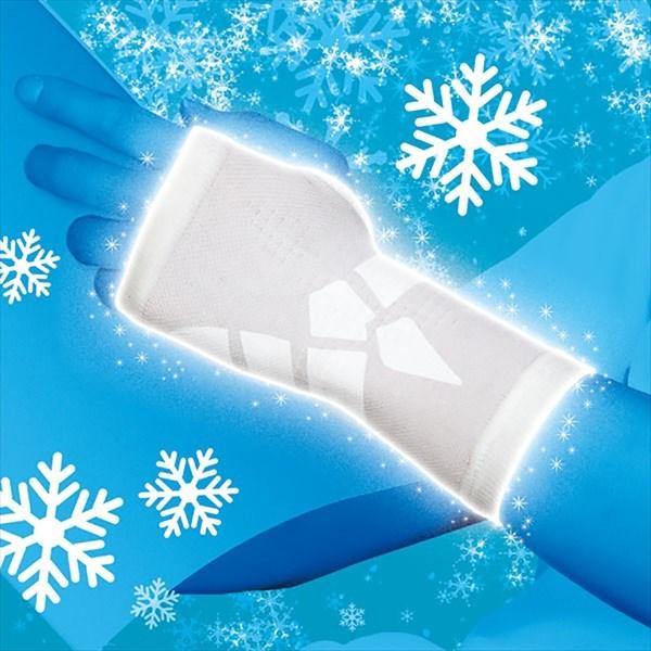 [D&amp;M]fB[G AXfBT|[^[ KN[ X[u^Cv ̂Ђ (109301)(10) zCg