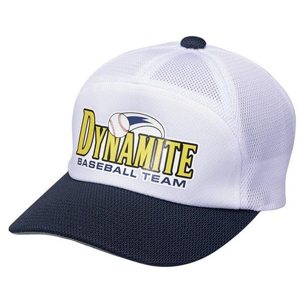 [SSK]GXGXPC `[Lbvi}[LOVXeΉi)(BC067)(1070)zCg×lCr[[񏤕i]