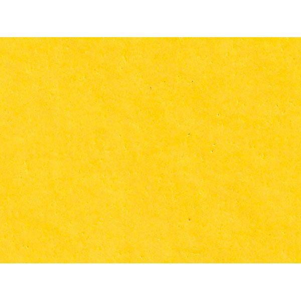 YONEX[lbNX]EFbgX[p[Obv5{pbN(AC1025P)(004)CG[[񏤕i]