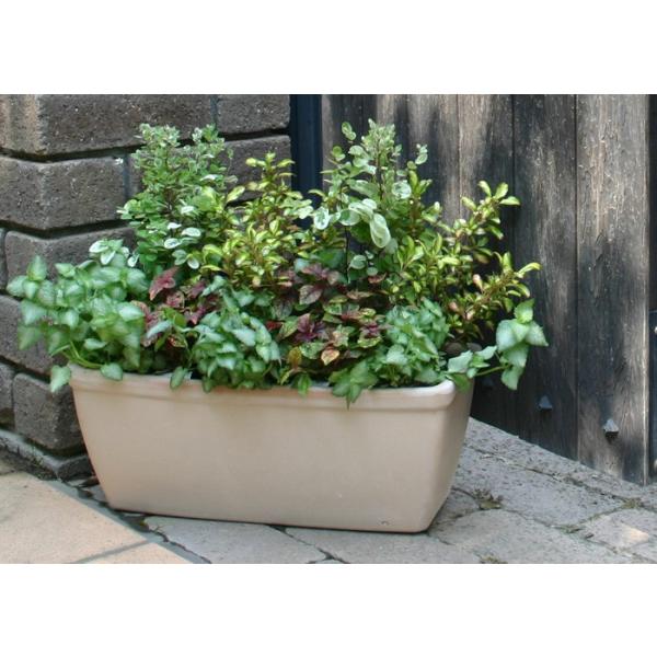イタリア鉢 アンティークローマンプランター 32cm おしゃれ イタリア製 植木鉢 テラコッタ 陶器鉢 素焼き鉢 園芸 ガーデニング Buyee Buyee 提供一站式最全面最專業現地yahoo Japan拍賣代bid代拍代購服務 Bot Online