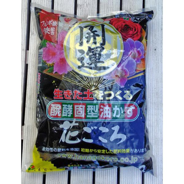 花ごころ 醗酵固型油かす 大粒 3kg 開運 油粕 寒肥 御礼肥 有機質肥料 自然の力を借りて、植物をすくすく育てる 園芸 ガーデニング 11011