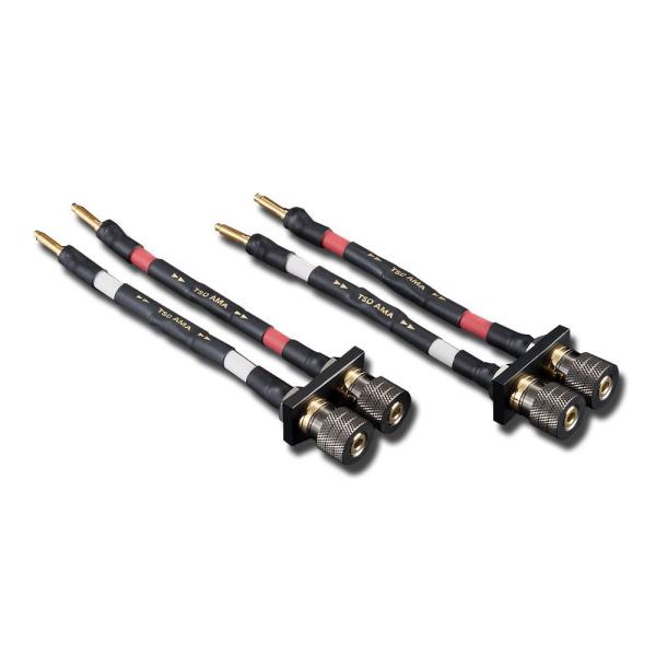 AET - TSD-AMA-B/oii[qi2jAvXs[J[P[upX^rCU[y[J[iE[͊mFゲAz