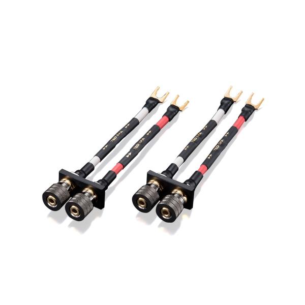 AET - TSD-SPA-Y/Y[qi2jXs[J[P[upX^rCU[y݌ɌE݌ɗL葦[z