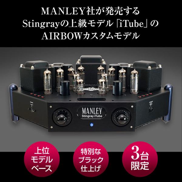 特別限定✡️✨新品✨超特価 自作❇️A1級真空管アンプ ☆6П18П A級真空管パワーアンプ【KT88シングル】 | トライオード | TRX