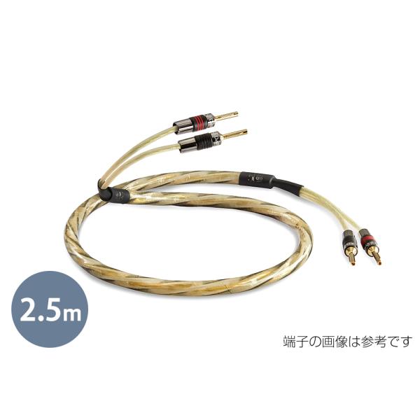 ALPHA QUAD スピーカーケーブル　BW/2.0mペア　アメリカ製 QED - Reference Golden Anniversary XT/2.5m（ペア）（完成品