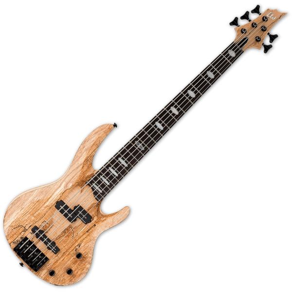 エレキベース ESP ESP LTD エレキベース RB-1005SM NATURAL SATIN RB1005SMNS 5弦